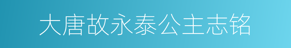 大唐故永泰公主志铭的同义词