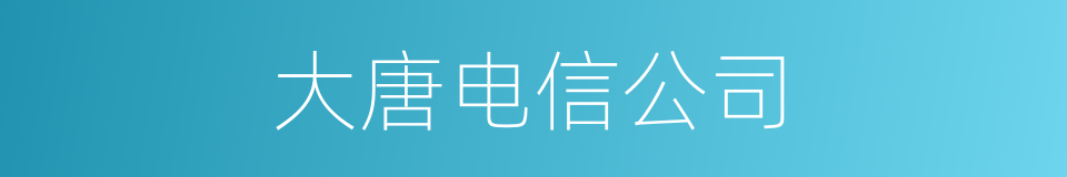 大唐电信公司的同义词