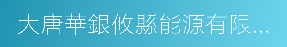 大唐華銀攸縣能源有限公司的同義詞