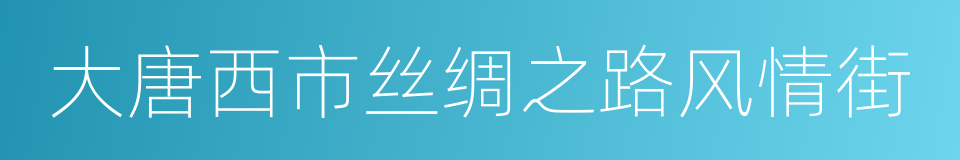 大唐西市丝绸之路风情街的同义词