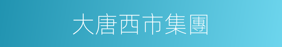 大唐西市集團的同義詞