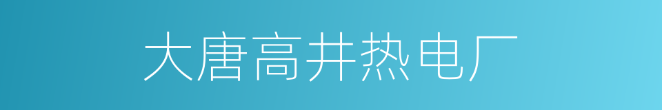 大唐高井热电厂的同义词