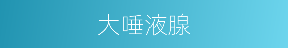 大唾液腺的同义词