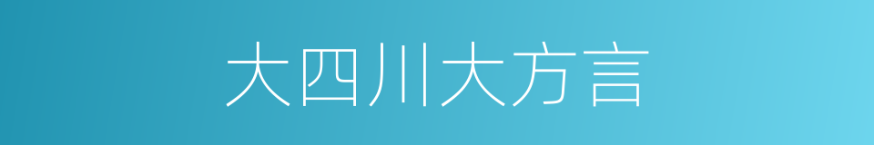 大四川大方言的同义词