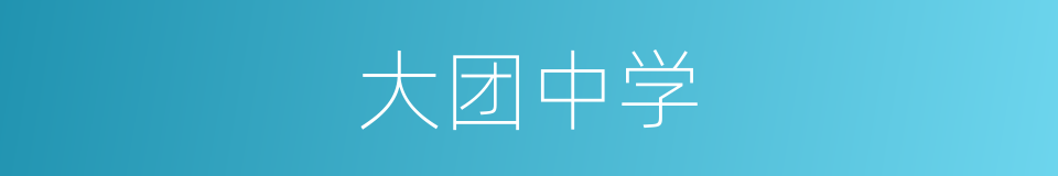大团中学的同义词