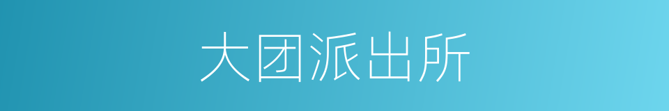 大团派出所的同义词