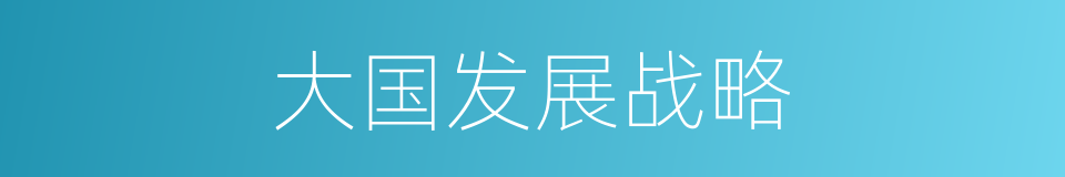 大国发展战略的同义词