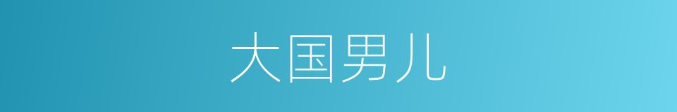大国男儿的同义词