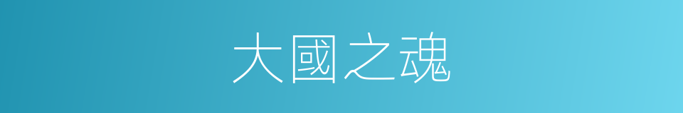 大國之魂的同義詞