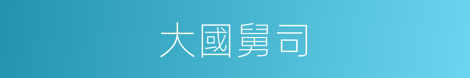 大國舅司的同義詞