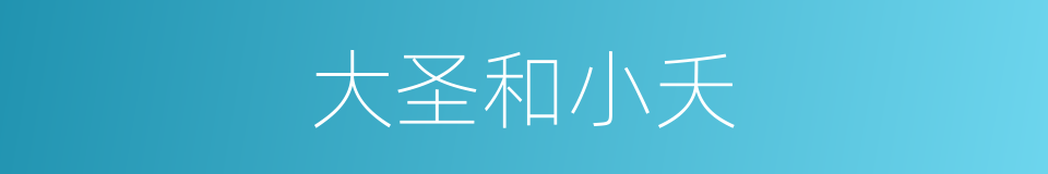 大圣和小夭的同义词