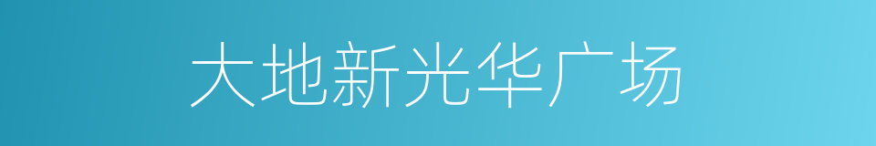 大地新光华广场的同义词