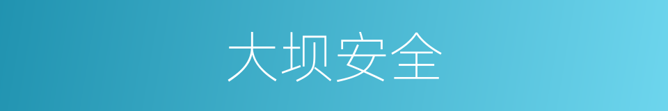 大坝安全的同义词