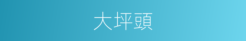 大坪頭的同義詞