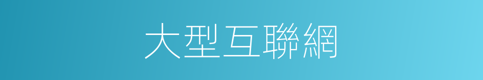 大型互聯網的同義詞