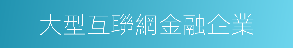 大型互聯網金融企業的同義詞