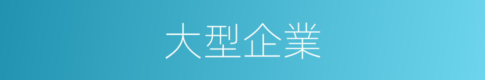 大型企業的同義詞