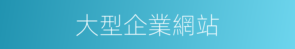 大型企業網站的同義詞