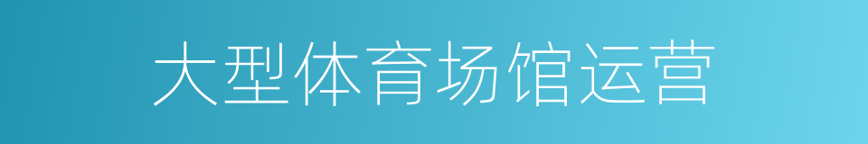 大型体育场馆运营的同义词