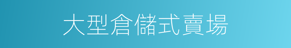 大型倉儲式賣場的同義詞