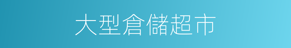 大型倉儲超市的同義詞
