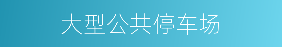 大型公共停车场的同义词