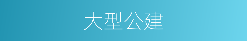 大型公建的同义词