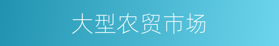 大型农贸市场的同义词