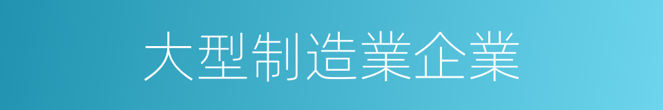 大型制造業企業的同義詞