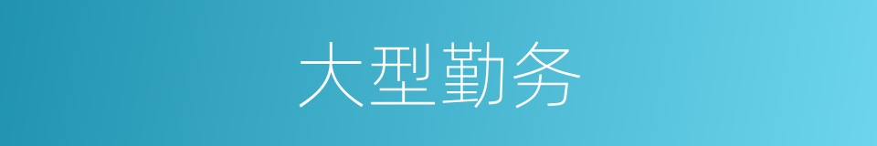 大型勤务的同义词
