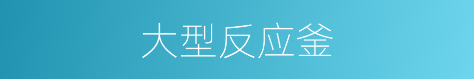大型反应釜的同义词