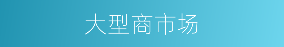 大型商市场的同义词