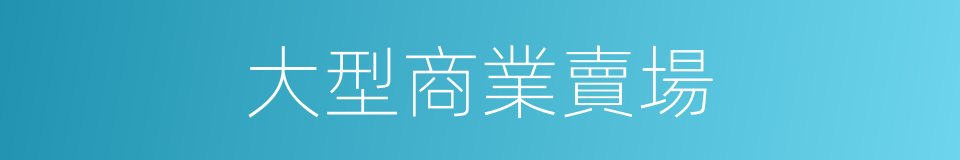 大型商業賣場的同義詞