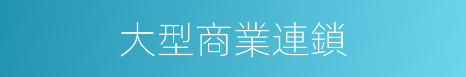 大型商業連鎖的同義詞
