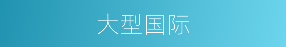 大型国际的同义词