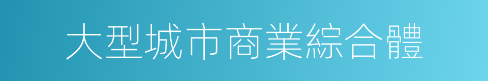 大型城市商業綜合體的同義詞