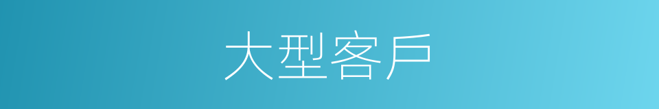大型客戶的同義詞