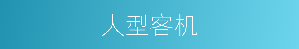 大型客机的同义词