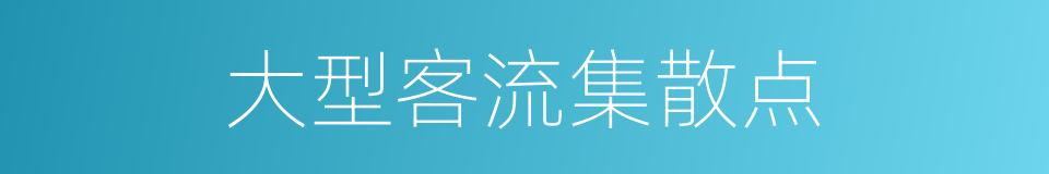 大型客流集散点的同义词