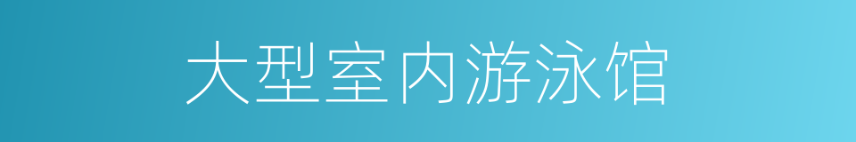 大型室内游泳馆的同义词