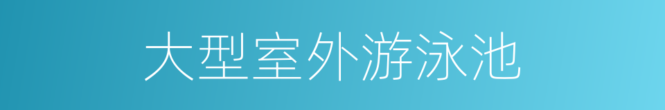 大型室外游泳池的同义词