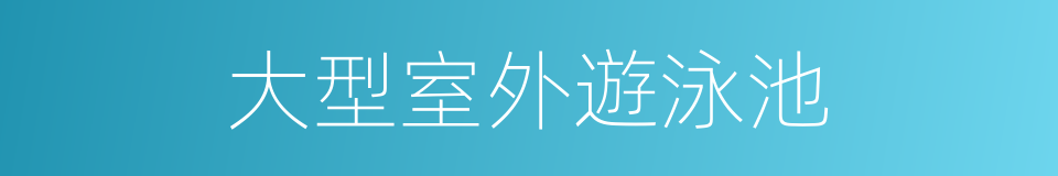 大型室外遊泳池的同義詞