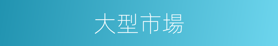 大型市場的同義詞