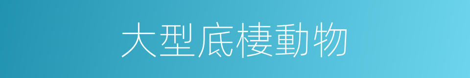 大型底棲動物的同義詞