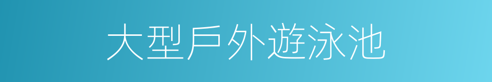 大型戶外遊泳池的同義詞