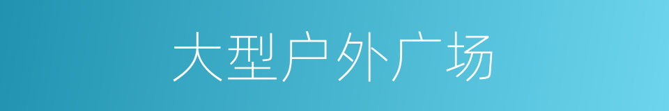 大型户外广场的同义词