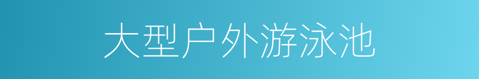 大型户外游泳池的同义词