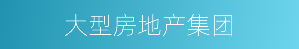 大型房地产集团的同义词