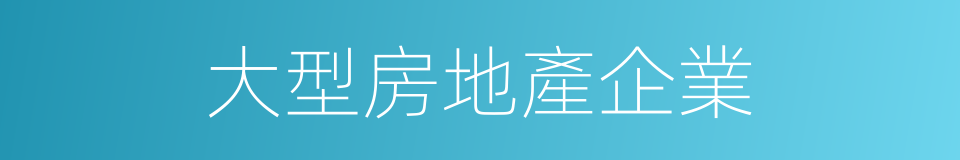 大型房地產企業的同義詞