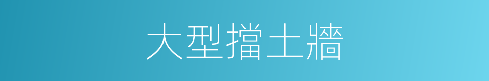 大型擋土牆的同義詞